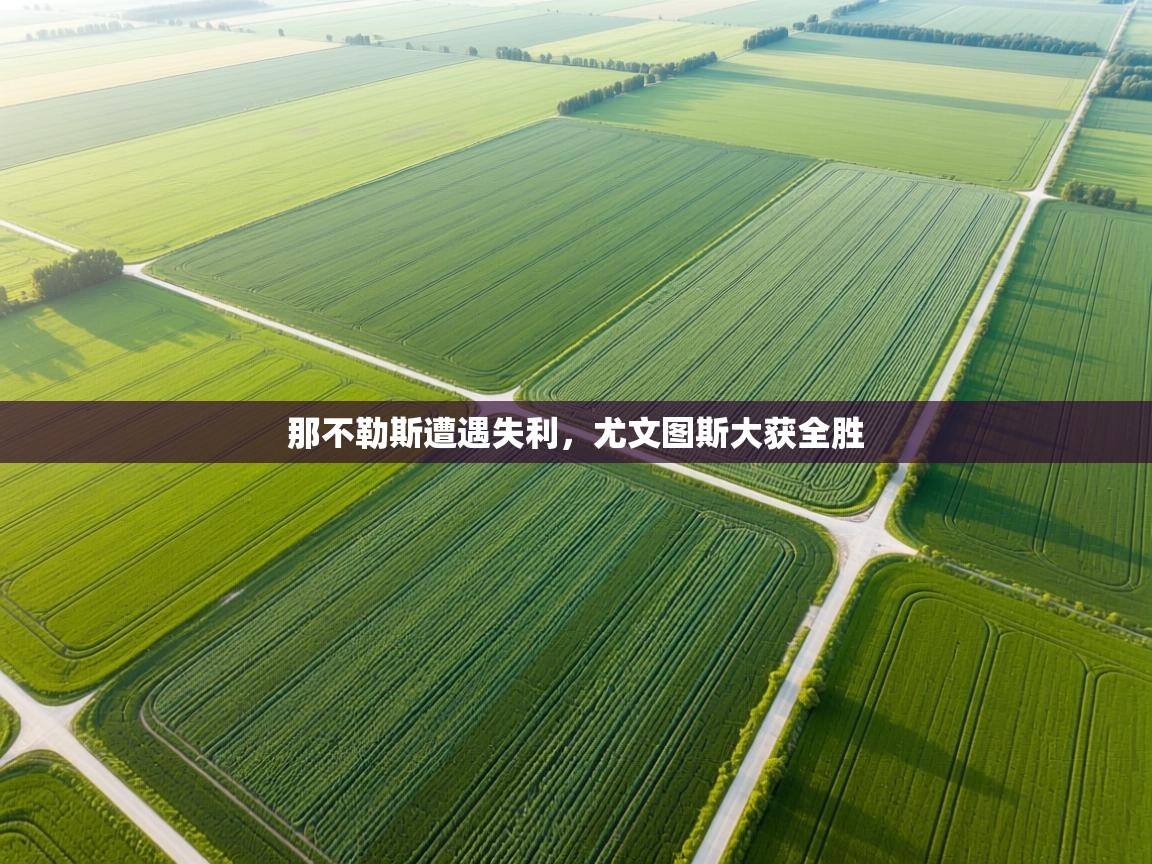 那不勒斯遭遇失利,尤文图斯大获全胜 第2张