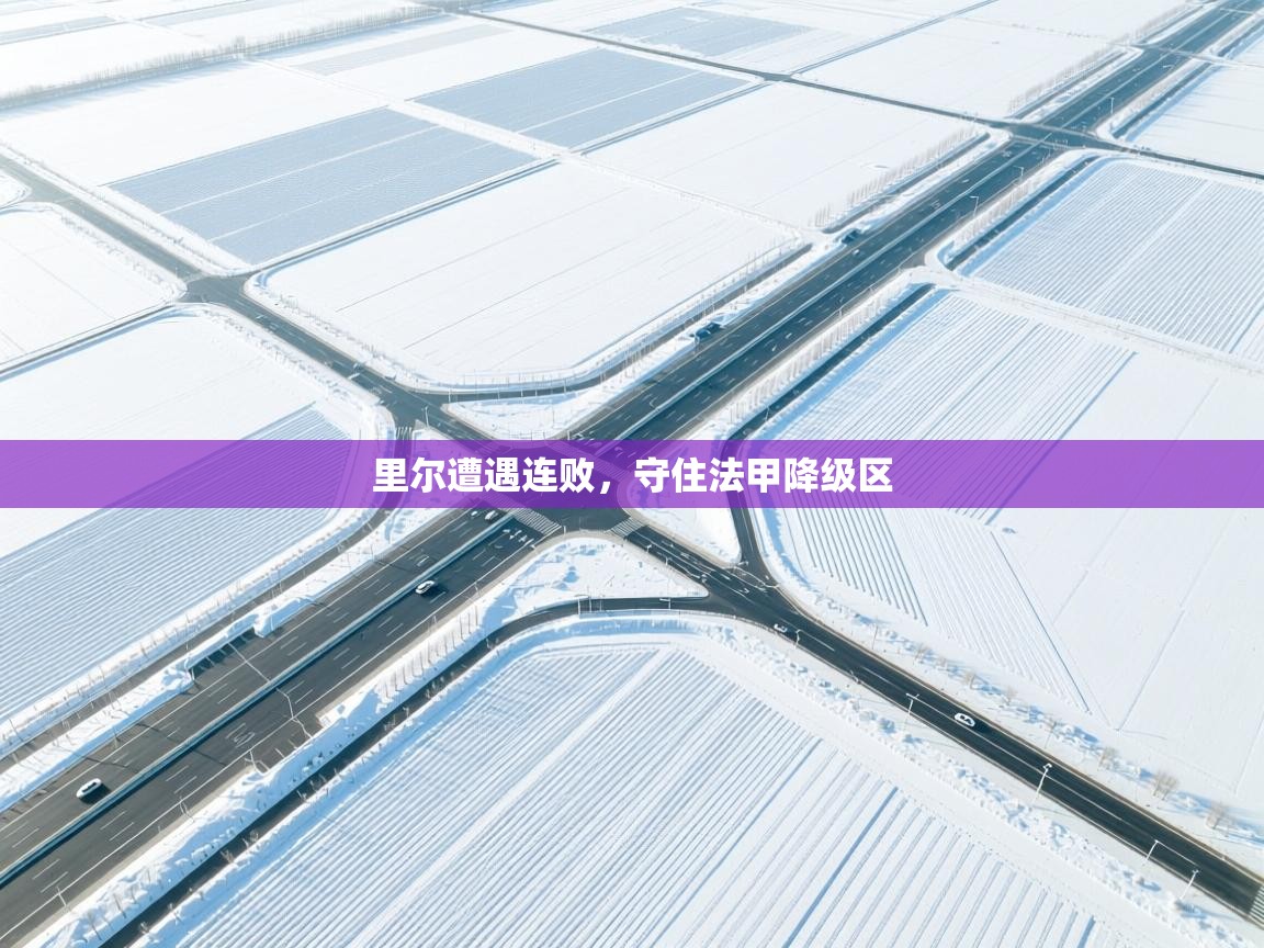 里尔遭遇连败，守住法甲降级区  第2张