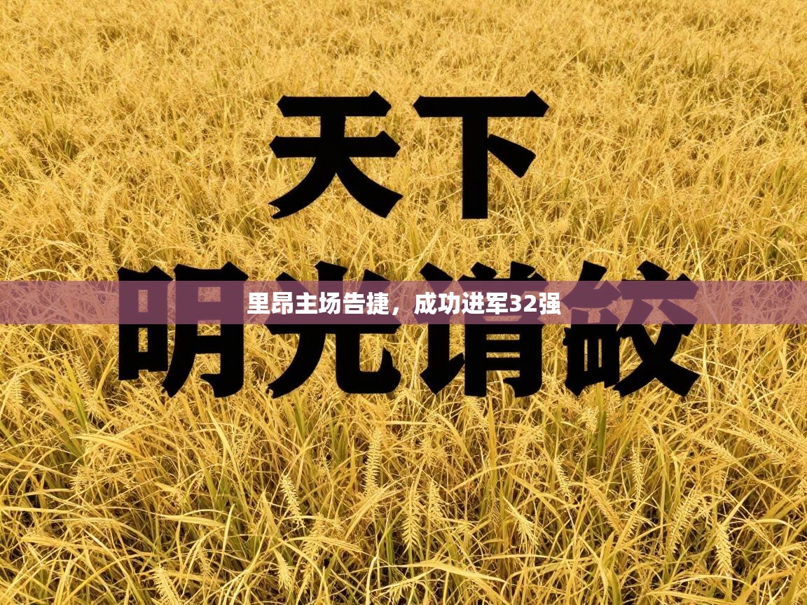 里昂主场告捷,成功进军32强 第1张