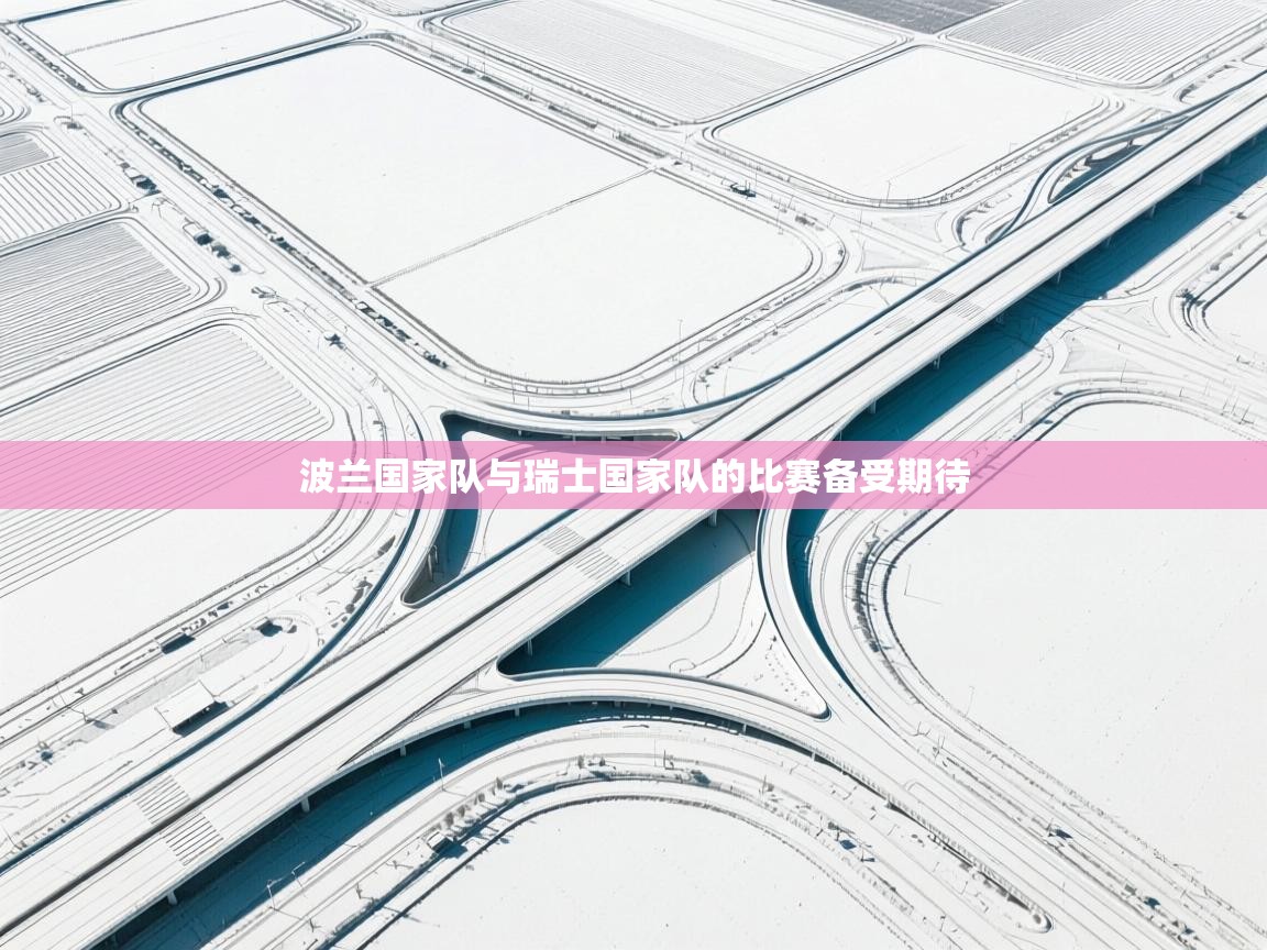 波兰国家队与瑞士国家队的比赛备受期待  第1张