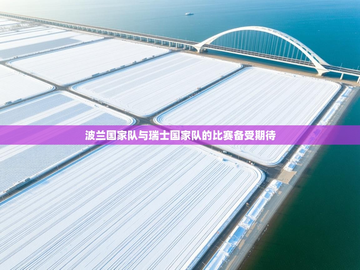 波兰国家队与瑞士国家队的比赛备受期待  第2张