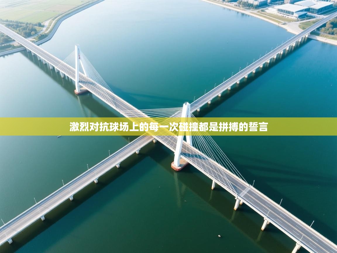 激烈对抗球场上的每一次碰撞都是拼搏的誓言  第1张