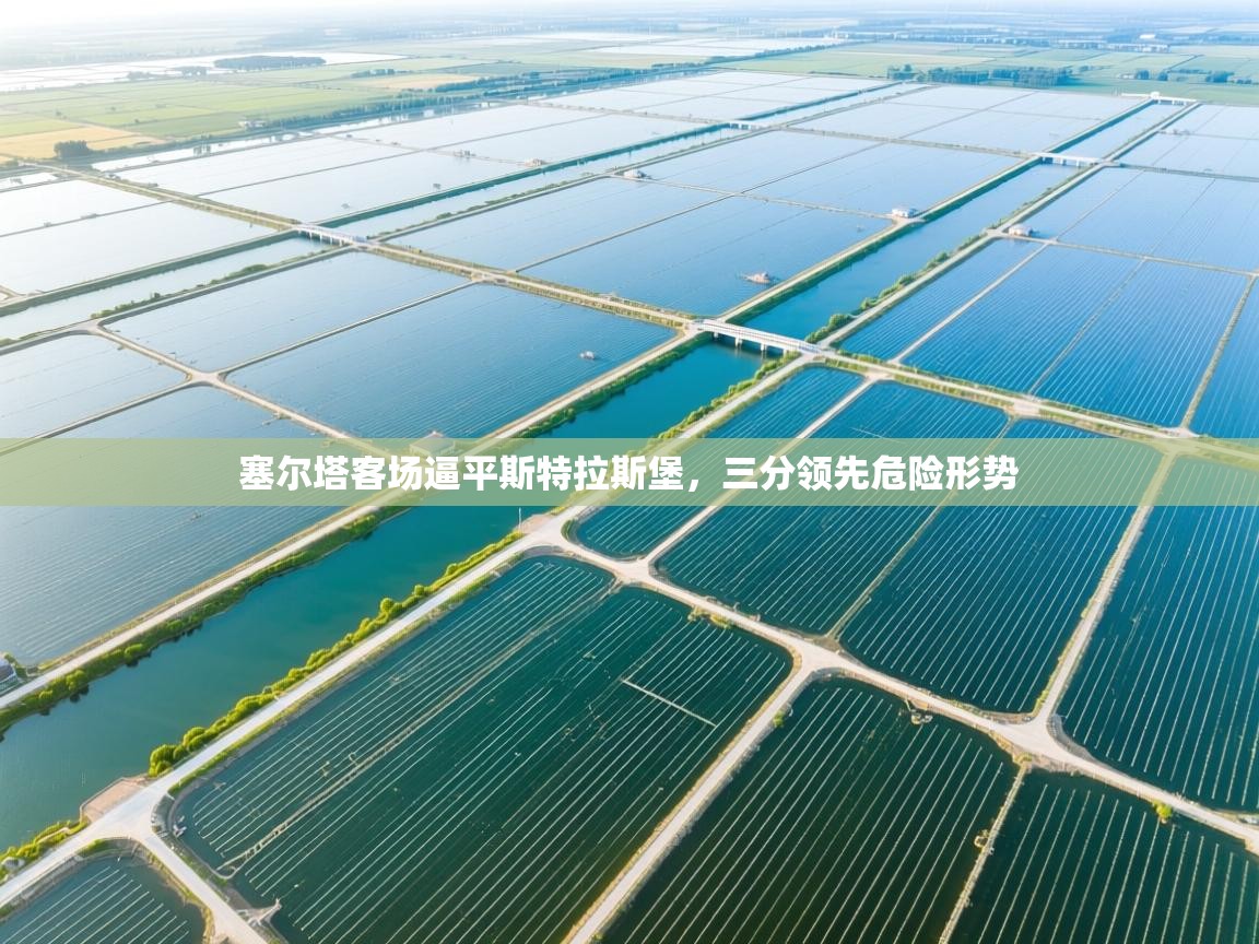 塞尔塔客场逼平斯特拉斯堡，三分领先危险形势  第1张