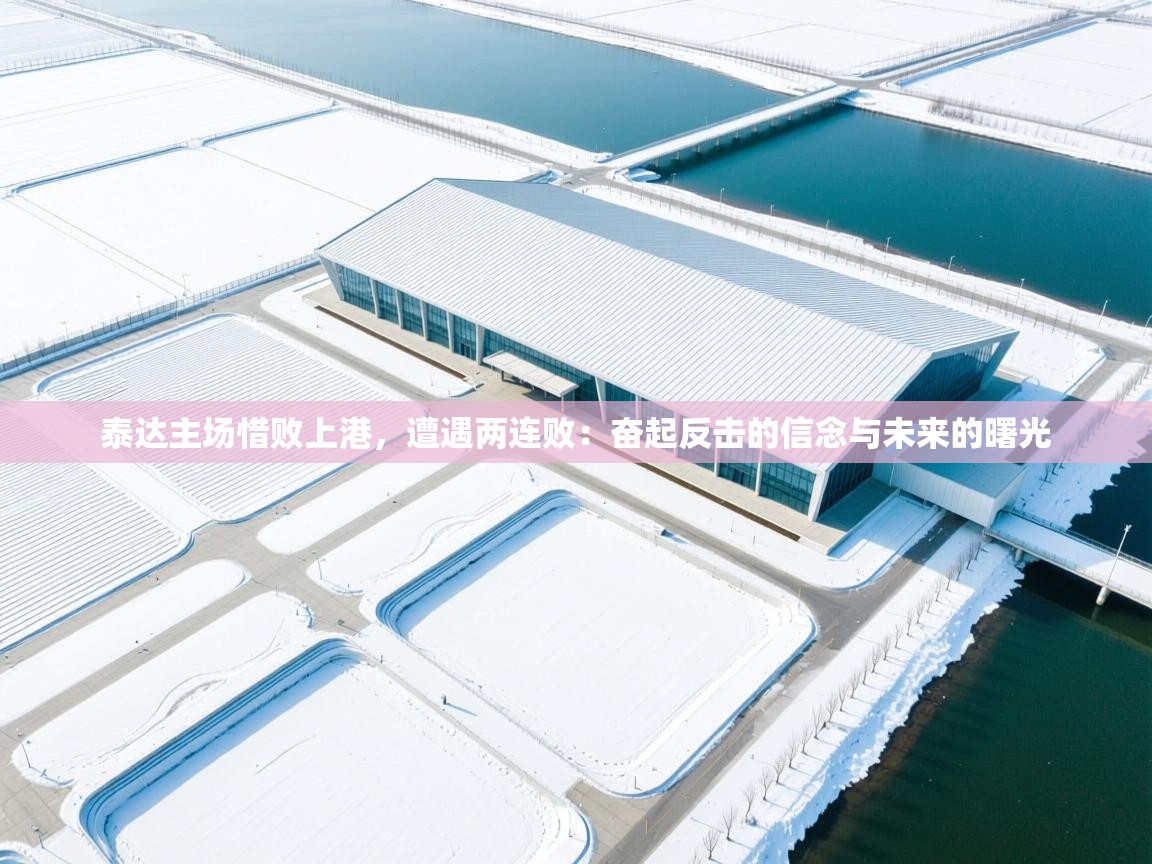 泰达主场惜败上港，遭遇两连败：奋起反击的信念与未来的曙光  第1张