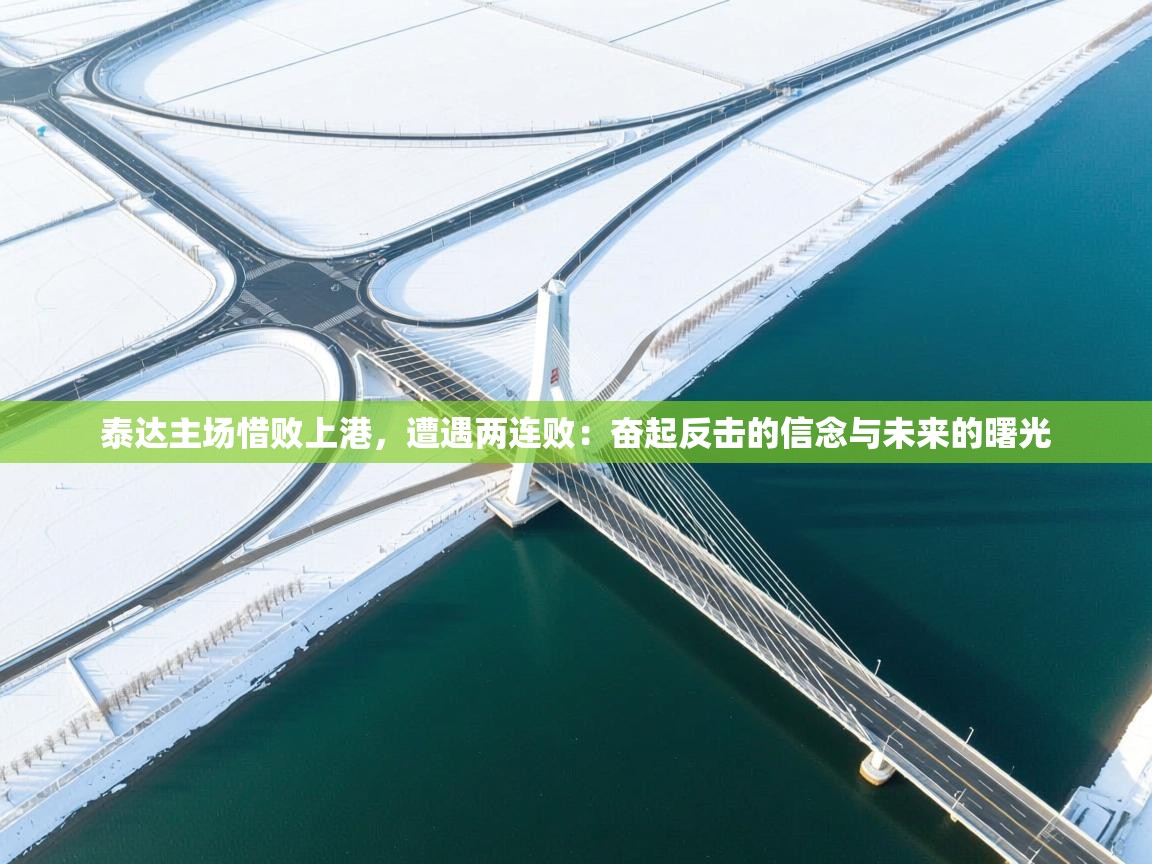 泰达主场惜败上港，遭遇两连败：奋起反击的信念与未来的曙光  第2张