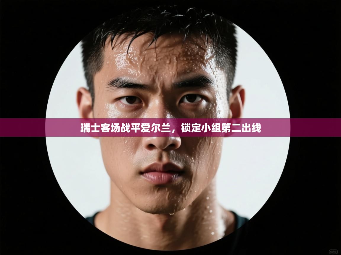 瑞士客场战平爱尔兰,锁定小组第二出线 第1张