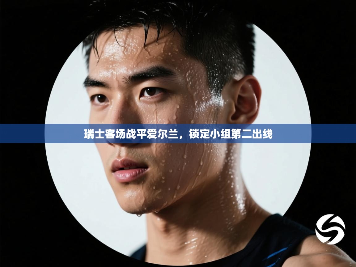 瑞士客场战平爱尔兰,锁定小组第二出线 第2张